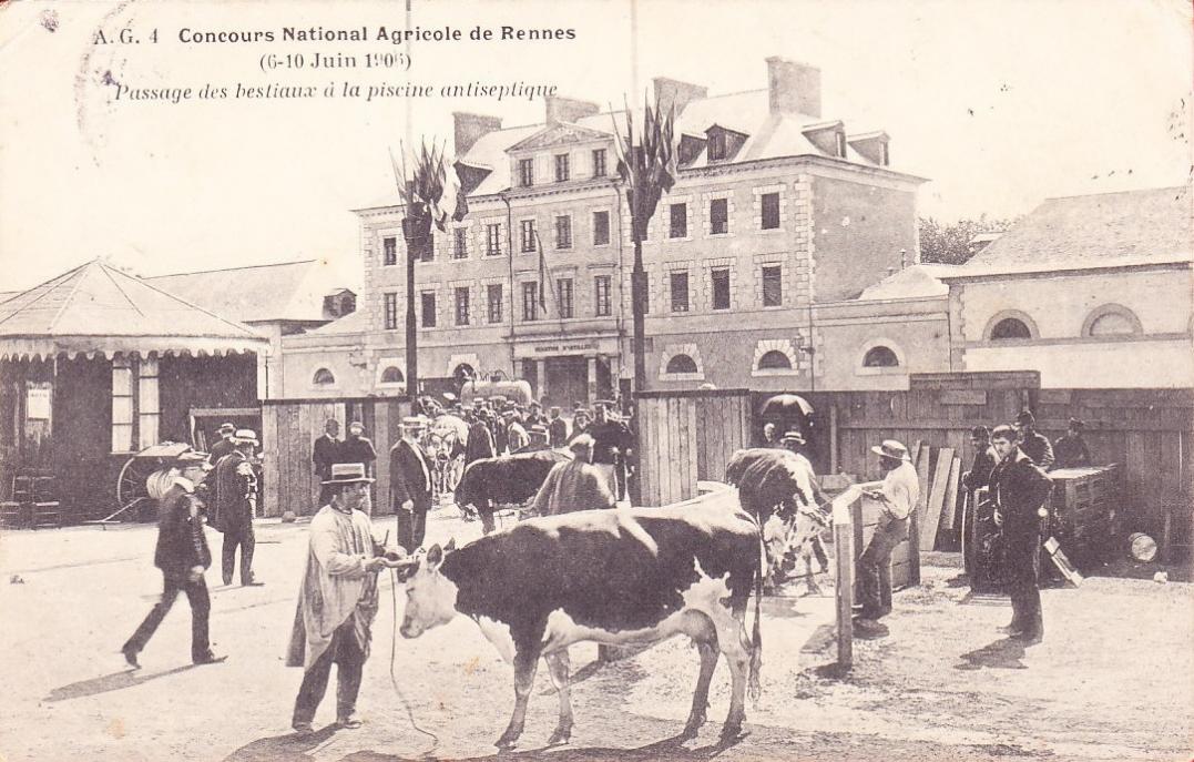 1908 concours agricole2